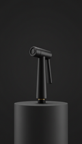Matte Black Brass Jet Spray